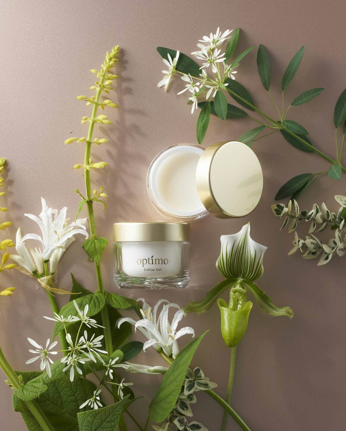 オプティモ セルリンクジェル