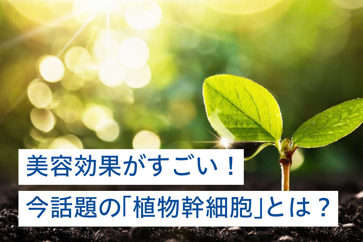 美容効果がすごい！今話題の「植物幹細胞」とは？